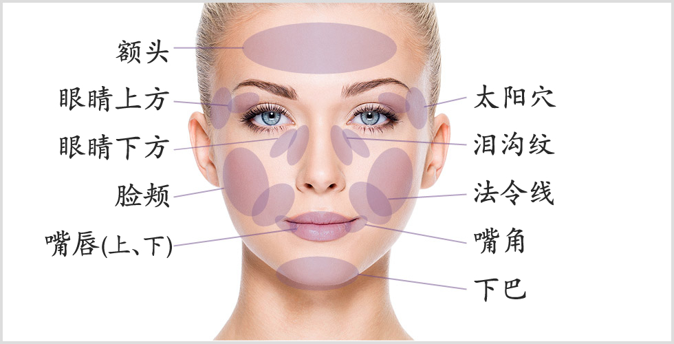 面部填充示意图图片