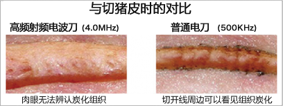 豚皮切開時の比較