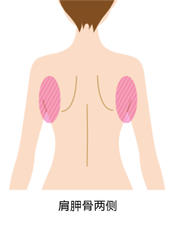 対象部位 肩甲骨横画像